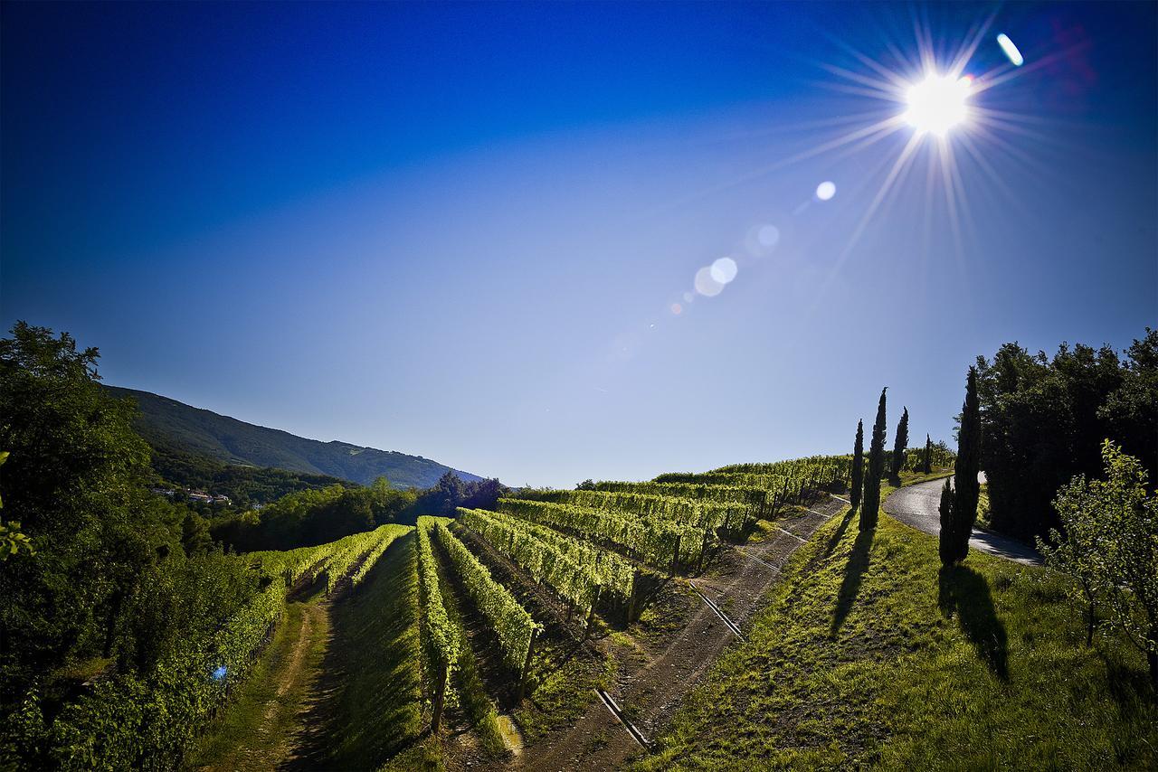 Venica & Venica Wine Resort Dolegna del Collio Exterior photo